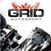 How To Install Grid Autosport Game Without Errors