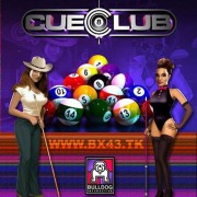 How To Install Cue Club Game Without Errors