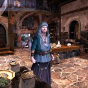 How To Install The Guild 2 Renaissance Game Without Errors