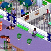 How To Install Theme Hospital Game Without Errors